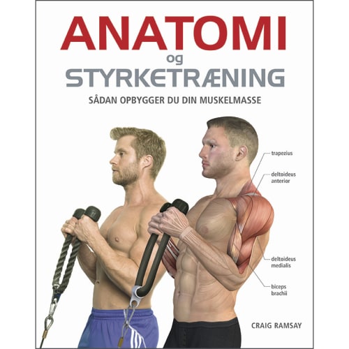 Anatomi og styrketræning - Indbundet