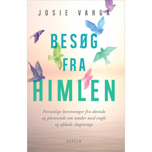 Besøg fra himlen - Hæftet