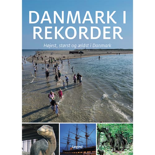 Danmark i rekorder - Indbundet