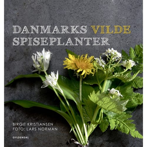 Danmarks Vilde Spiseplanter - Indbundet