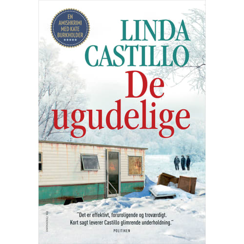 De ugudelige - Kate Burkholder 8 - Indbundet