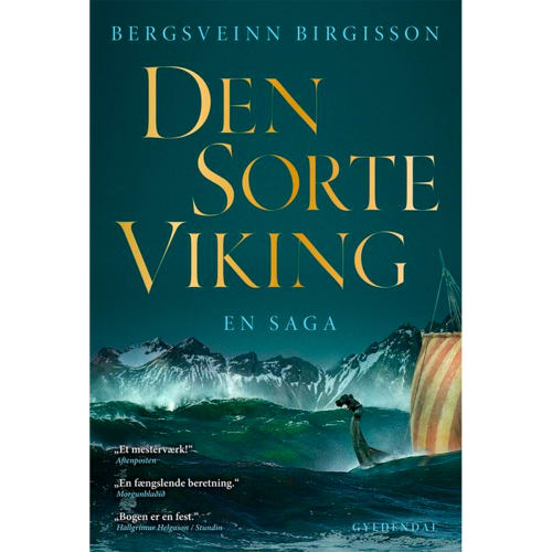Den sorte viking - En saga - Hæftet