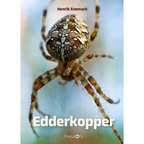 Edderkopper - Spil & Læs - Hardback