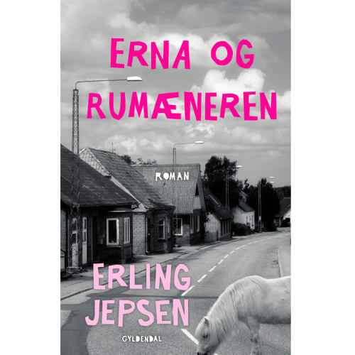 Erna og rumæneren - Hæftet