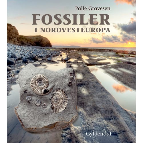 Fossiler I Nordvesteuropa - Indbundet