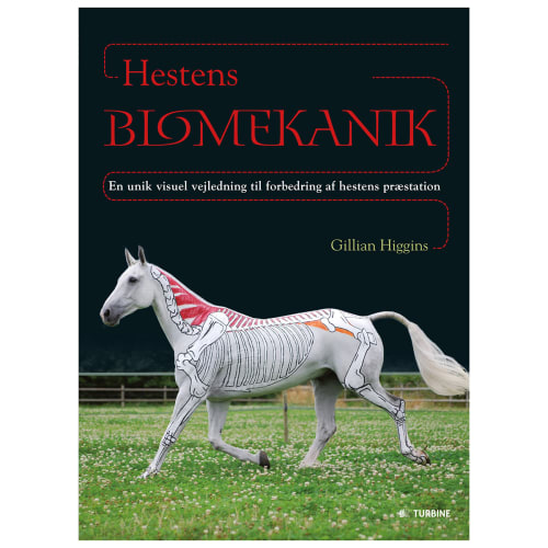 Hestens Biomekanik - Indbundet