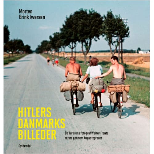 Hitlers Danmarksbilleder - Indbundet