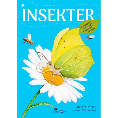 Insekter - Hardback