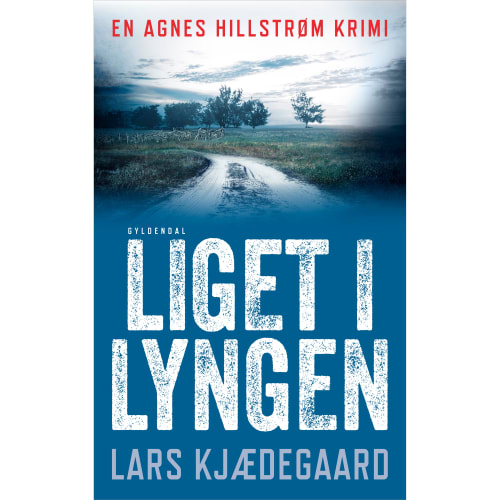 Liget i lyngen - Agnes Hillstrøm 1 - Hæftet