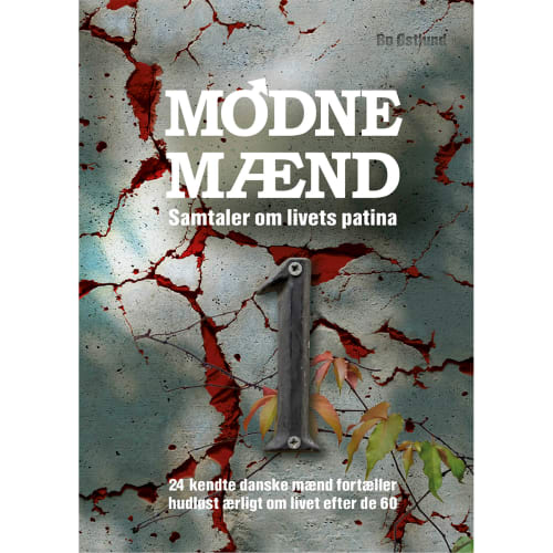 Modne mænd - Samtaler om livets patina - Hardback