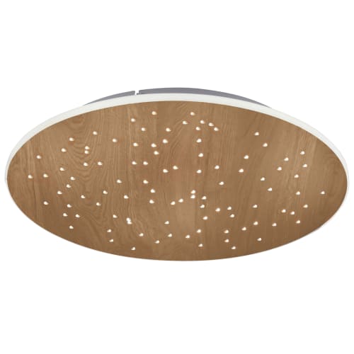 Paul Neuhaus loftlampe - Q-Nightsky