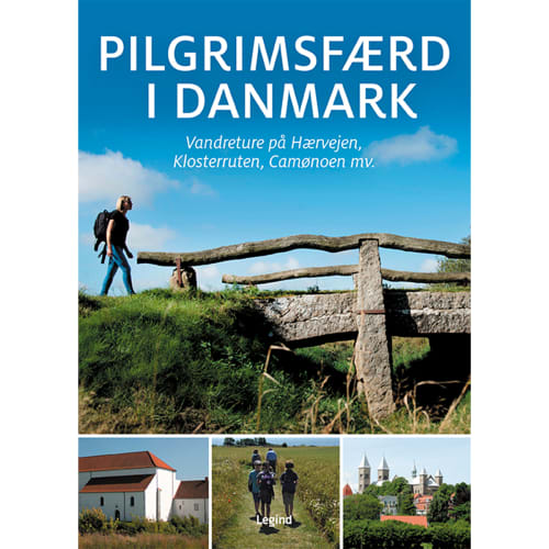 Pilgrimsfærd i Danmark - Indbundet
