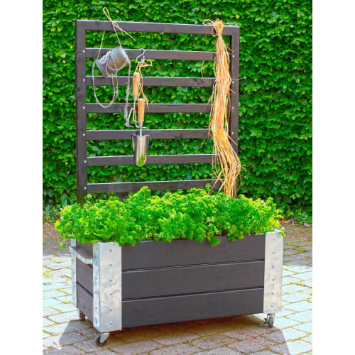 Plus blomsterkasse med espalier - Cubic - Sort