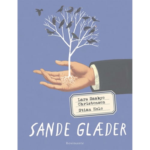 Sande glæder - Indbundet