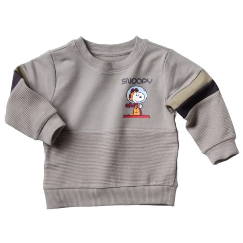 Snoopy sweatshirt - Grå