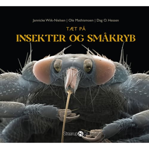 Billede af Tæt på insekter og småkryb - Hardback hos Coop.dk