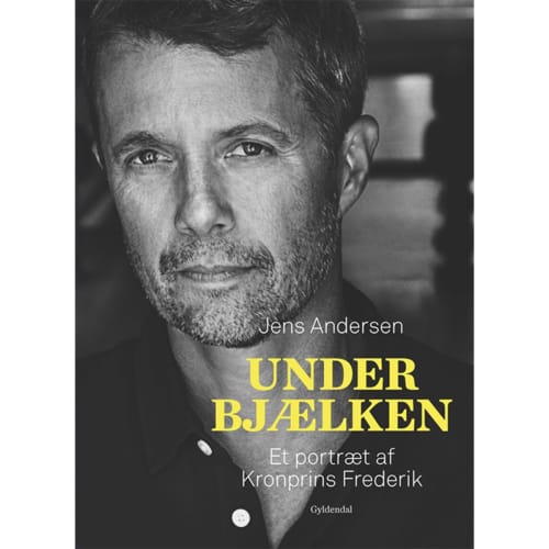 Under bjælken - et portræt af Kronprins Frederik - Indbundet