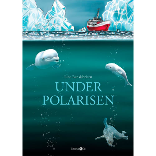 Under polarisen - Hardback