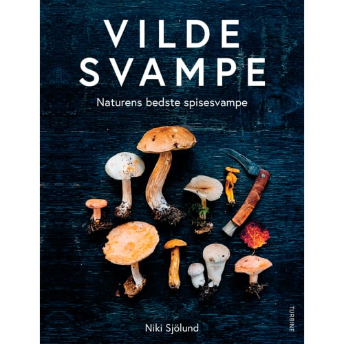 Vilde svampe - Naturens bedste spisesvampe - Indbundet