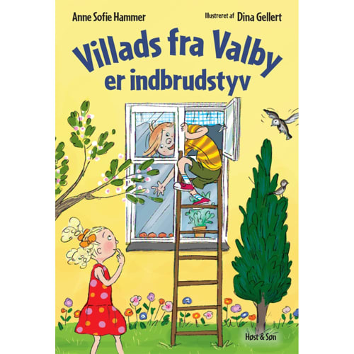 Villads fra Valby er indbrudstyv - Indbundet