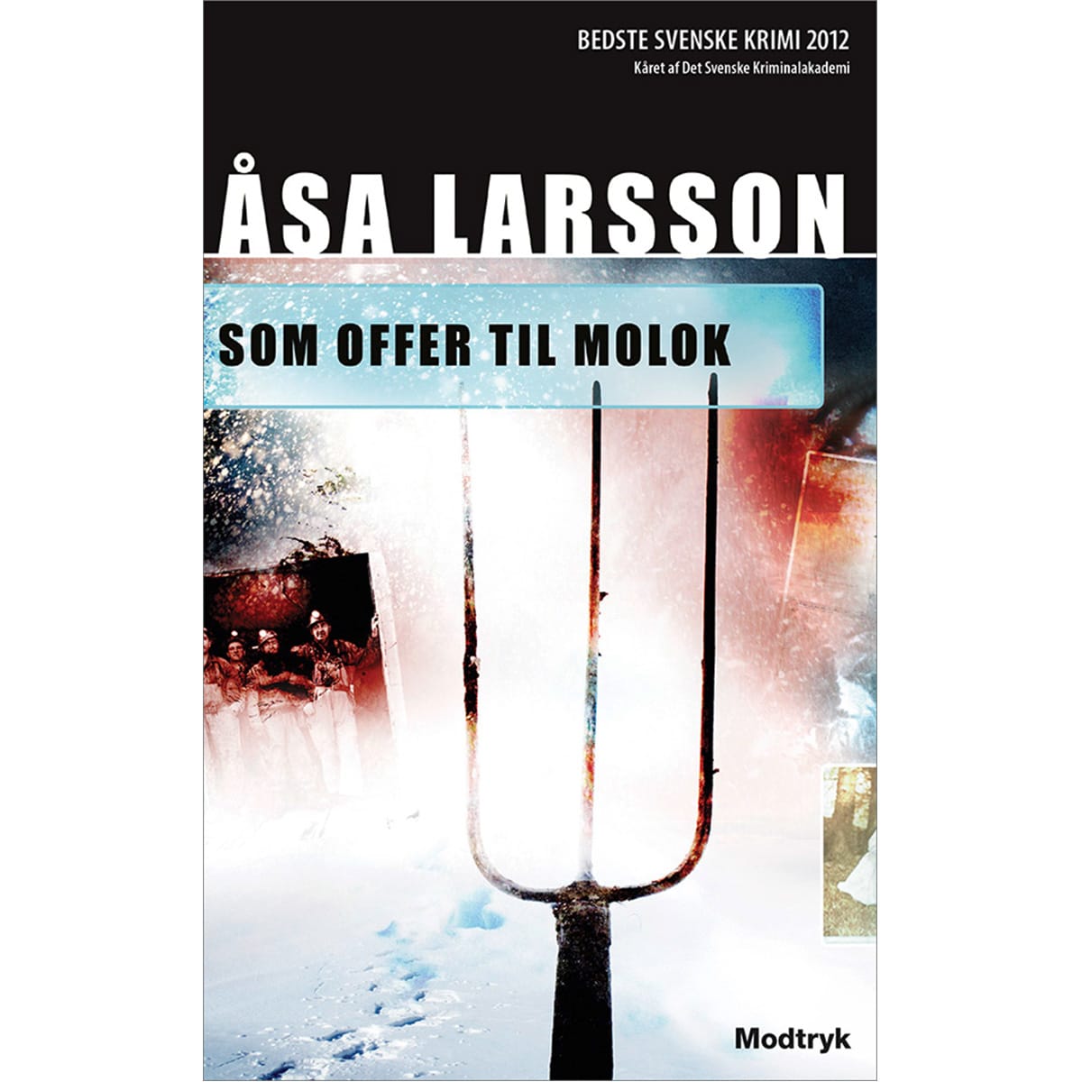 Af Åsa Larsson