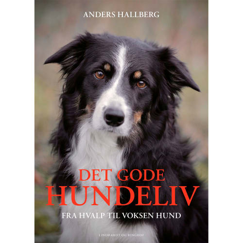 Køb gode hundeliv - Indbundet af Anders Hallgren | Coop.dk