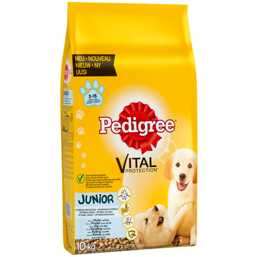 Pedigree Hund