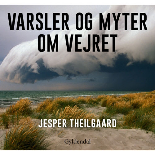 Af Jesper Theilgaard